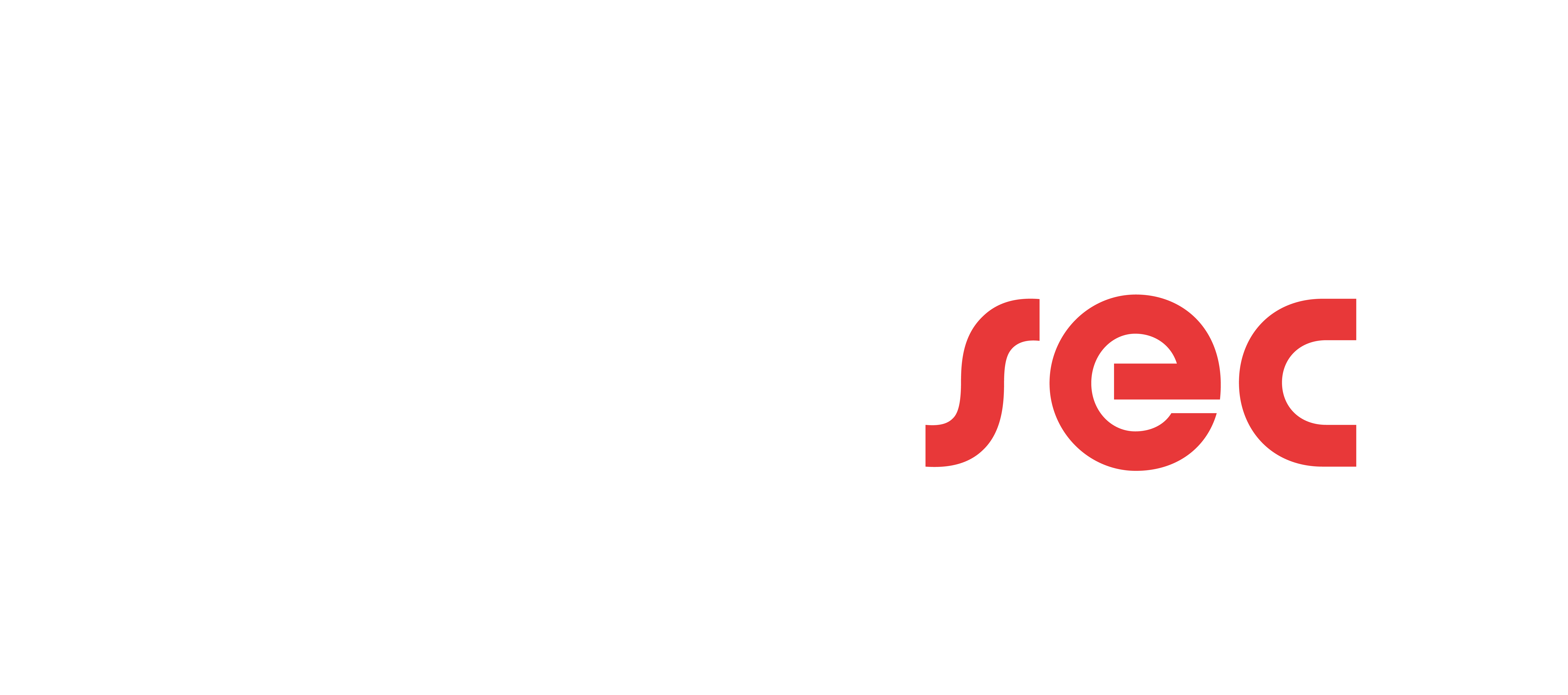Drivesec-logo-per-nero.png
